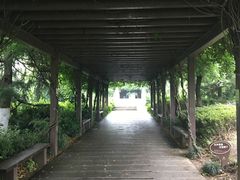 -白马涧龙池景区
