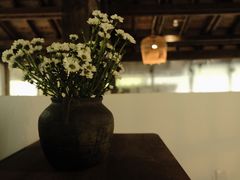 -MOJ coffee(瓯海泽雅水碓坑店)