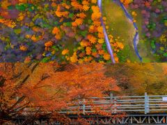 -秦岭风景区