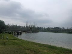 -白鹭湾湿地公园