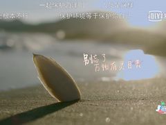 -神奇的香酥鸡蛋灌饼