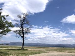 -洱海月湿地公园