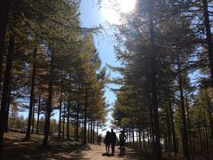 -塞罕坝国家级自然保护区