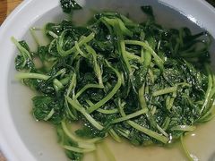 -鸽子窝(青塔店)