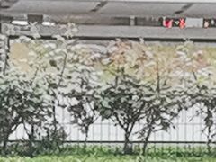 -云南特产专卖(建木小区店)