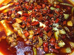 -雲蜀龙阁·金牌水煮鱼(方庄店)