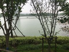 -南翔镇银翔湖公园