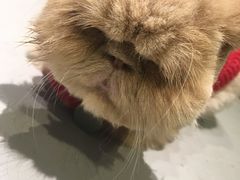 -小时光咖啡馆(开森度假森林店)