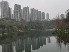 -重庆彩云湖湿地公园
