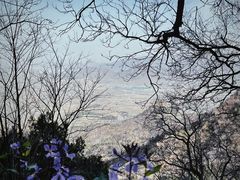 -北京鹫峰国家森林公园