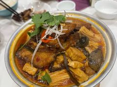 -凯鸽酒楼(大同振兴街店)