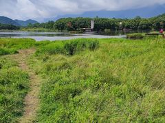 -大九湖