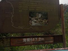-海南热带雨林国家公园吊罗山景区