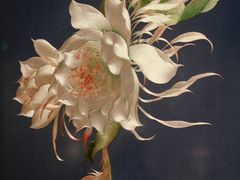 -深圳博物馆(古代艺术馆)