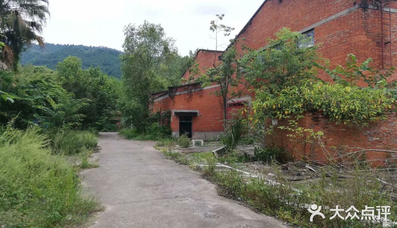 山里废弃的工厂【龙泉山北段，锅炉厂】