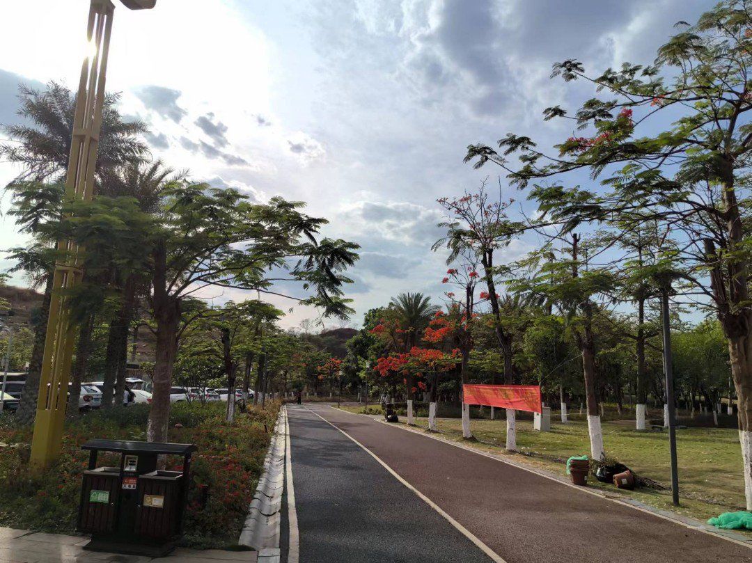 攀枝花天星湖公园,亲子同游的快乐天地