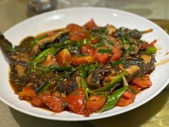 -生态苑农庄(十里画廊遇龙河店)