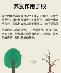 -Bollins波林丝•专研护发中心