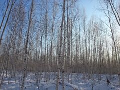 -北极村旅游风景区