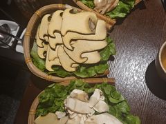 -滇野云南野生菌餐厅(陕西南路店)