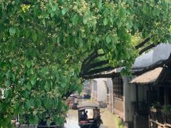 -乌镇东栅景区