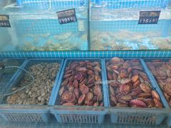 -老东镇啤酒屋海鲜加工·蒸汽海鲜·海鲜烧烤(台东店)