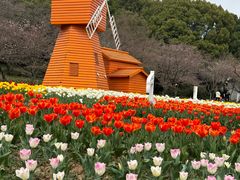 -苏州上方山国家森林公园