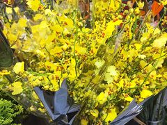 -双季花艺园艺市场(浦东店)