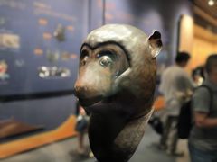 -广西壮族自治区博物馆