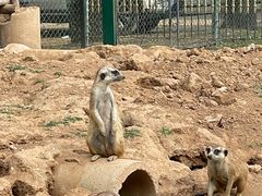 -秦皇岛野生动物园