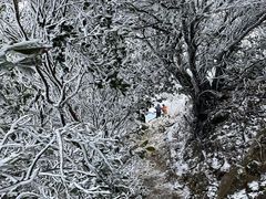 -梧桐山风景名胜区