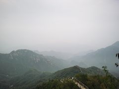 -大岭沟猕猴桃谷风景区