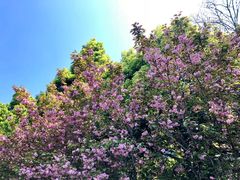 -贵阳市花溪国家城市湿地公园