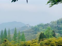 -莫干山风景区