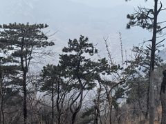 -沂蒙山旅游区云蒙景区(蒙山国家森林公园)