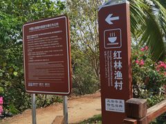 -东寨港红树林旅游区