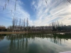 -大兴滨河森林公园