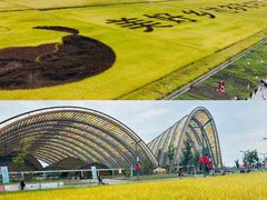 -中国天府农业博览园