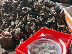 -花苑美食横琴生蚝火锅(拱北粤华路店)