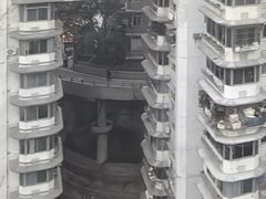 -白象居