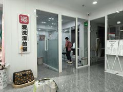 -爱洗澡的猫(望京店)