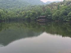 -杭州半山国家森林公园