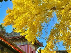 -承恩寺