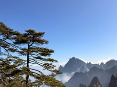 -黄山玉屏楼宾馆餐厅