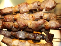只撒盐的羊肉串-蒙料·手把肉(望京店)