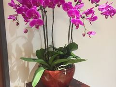 -秦淮礼物(贡院街店)