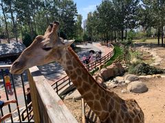 -大连森林动物园