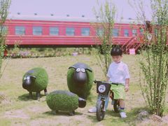 -菊园百果园