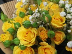 -循礼门鲜花花市(武汉循礼门店)