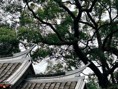 -岳麓山风景名胜区